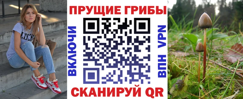 купить наркотик  Льгов  Галлюциногенные грибы GOLDEN TEACHER 